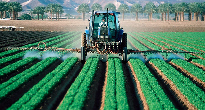 Fotografía de agricultura. (Archivo)